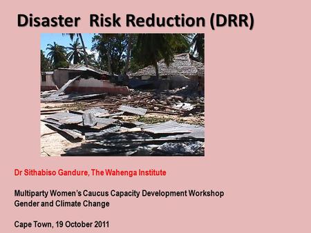 Disaster Risk Reduction (DRR)