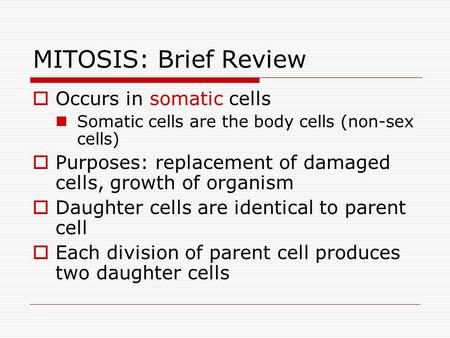 MITOSIS: Brief Review  Occurs in somatic cells Somatic cells are the body cells (non-sex cells)  Purposes: replacement of damaged cells, growth of organism.