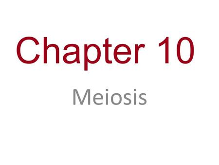 Chapter 10 Meiosis.