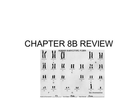 CHAPTER 8B REVIEW.