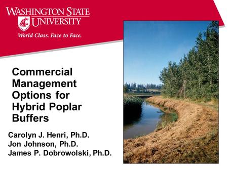 Commercial Management Options for Hybrid Poplar Buffers Carolyn J. Henri, Ph.D. Jon Johnson, Ph.D. James P. Dobrowolski, Ph.D.