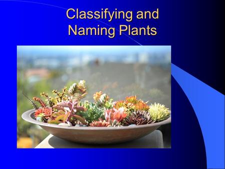 Classifying and Naming Plants. Next Generation Science/Common Core Standards Addressed! l WHST.9 ‐ 12.9 Draw evidence from informational texts to support.