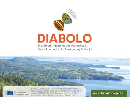 DIABOLO has received funding from the European Union’s Horizon 2020 research and innovation programme under grant agreement No 633464. Project duration: