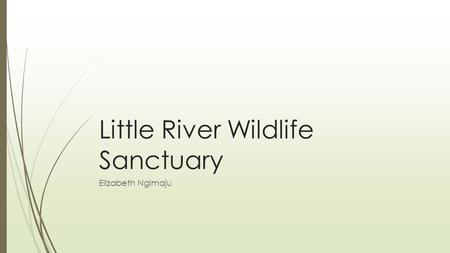 Little River Wildlife Sanctuary Elizabeth Ngimaju.