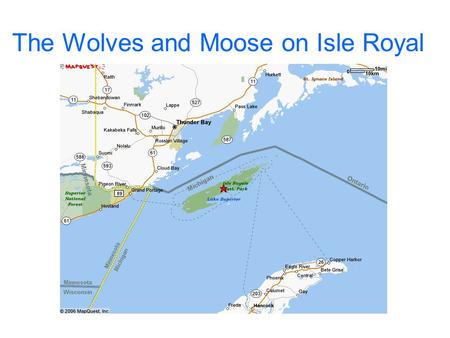 The Wolves and Moose on Isle Royal. Isle Royale images from: