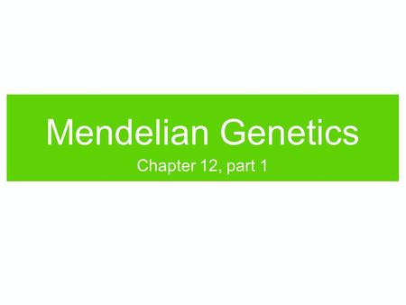 Mendelian Genetics Chapter 12, part 1. Gregor Mendel Born in 1822 in Moravia (now part of the Czech Republic. Son of a tenant farmer; joined a monastery.