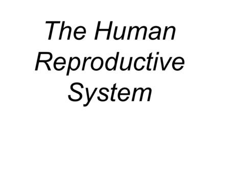 The Human Reproductive System. Most animals are either male or female. Male animals produce only male gametes (sperm) and females only female gametes.