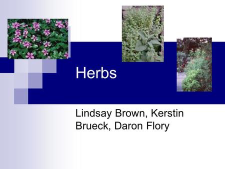 Herbs Lindsay Brown, Kerstin Brueck, Daron Flory.