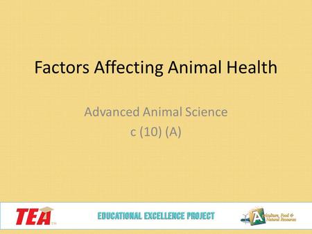 Factors Affecting Animal Health