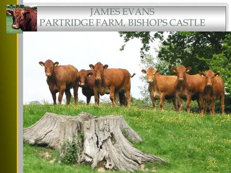 JAMES EVANS PARTRIDGE FARM, BISHOPS CASTLE. WALCOT FARM J. W. EVANS AND SONS South West Shropshire Family Partnership Walcot Farm 760 acres Partridge.