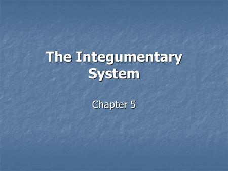 The Integumentary System Chapter 5. Introduction The integumentary system consists of hair, skin, and nails. The integumentary system consists of hair,