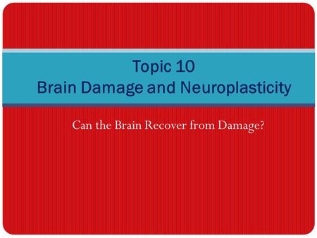 Can the Brain Recover from Damage? Topic 10 Brain Damage and Neuroplasticity.