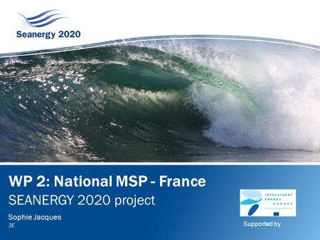 Work package 3 Analysis of international MSP Instruments Sophie Jacques 3E Support by: WP 2: National MSP - France SEANERGY 2020 project Sophie Jacques.