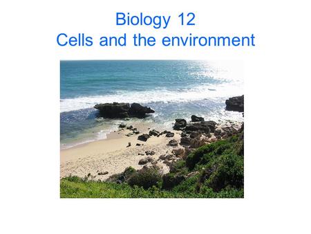 Biology 12 Cells and the environment. Cells exchange matter and energy In: Out: