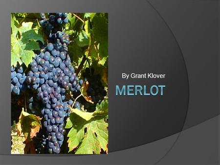By Grant Klover. Overview Facts History Viticulture Old World New World White Merlot Taste, and Aroma Food parings Conclusion.