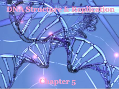 DNA Structure & Replication Chapter 5. Discovery of DNA as genetic material 1869 a compound found in the nucleus 1920’s the chemical components of nuclein.