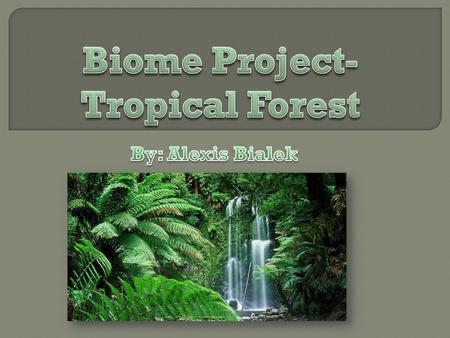 Biome Project- Tropical Forest