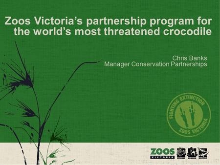 Zoos Victoria’s partnership program for the world’s most threatened crocodile Chris Banks Manager Conservation Partnerships.