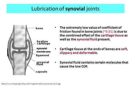 Lubrication of synovial joints The extremely low value of coefficient of friction found in bone joints (~0.01) is due to the combined effect of the cartilage.