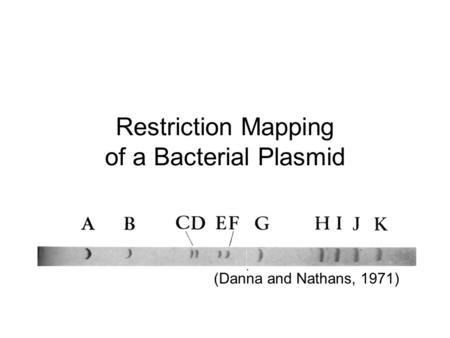 Restriction Mapping of a Bacterial Plasmid (Danna and Nathans, 1971)