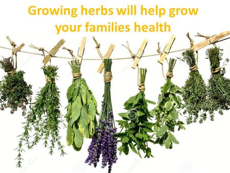 Growing herbs will help grow your families health.
