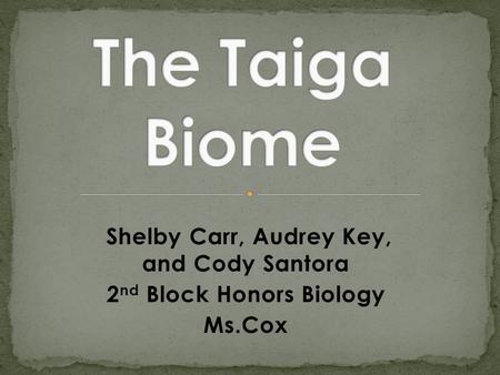 Shelby Carr, Audrey Key, and Cody Santora 2 nd Block Honors Biology Ms.Cox.