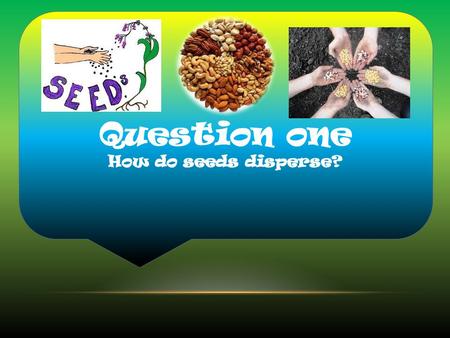 Question one How do seeds disperse?.