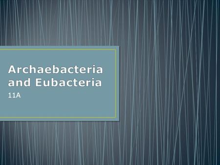 11A. Archaebacteria and Eubacteria share many characteristics but are classified into their own taxa Archaebacteria and Eubacteria share many characteristics.