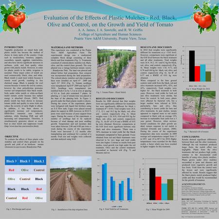 Evaluation of the Effects of Plastic Mulches - Red, Black, Olive and Control, on the Growth and Yield of Tomato A. A. James, J. A. Sawtelle, and R. W.