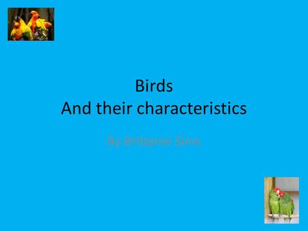 Birds And their characteristics By Brittanie Sims.