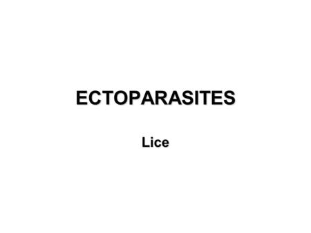 ECTOPARASITES Lice.