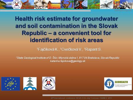 Www.geology.sk 29 th International conference SEGH, 8-12 July Toulouse, FRANCE 2013 Health risk estimate for groundwater and soil contamination in the.
