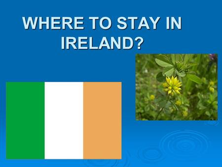 WHERE TO STAY IN IRELAND?. Quiz on Ireland Quiz on Ireland 1. Ireland is: a) a part of the UK b) an independent country c) a part of Great Britain 2.What.