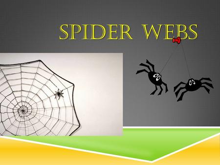 SPIDER WEBS.  You know there are many kinds of spiders, but did you know there are many kinds of spider webs?  The spider web is a big clue to the kind.