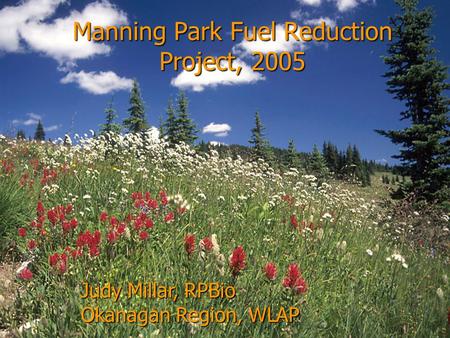 Manning Park Fuel Reduction Project, 2005 Judy Millar, RPBio Okanagan Region, WLAP.