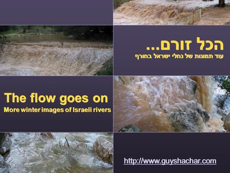 הכל זורם... The flow goes on עוד תמונות של נחלי ישראל בחורף  More winter images of Israeli rivers.