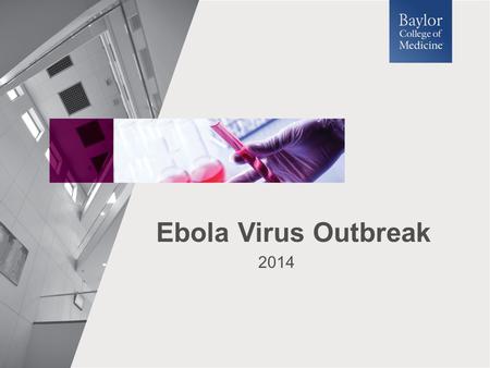 Ebola Virus Outbreak This presentation has been prepared by Christine H. Herrmann, Ph.D. of the Department of Molecular Virology and Microbiology at Baylor.
