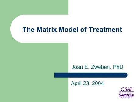 The Matrix Model of Treatment Joan E. Zweben, PhD April 23, 2004.