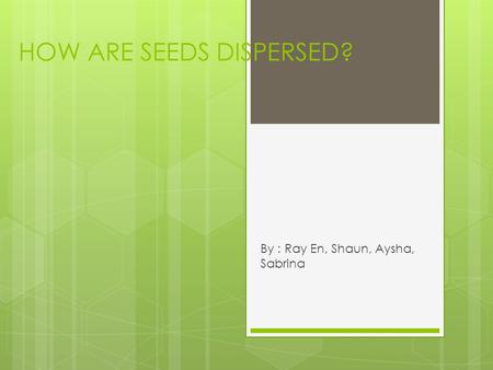 HOW ARE SEEDS DISPERSED? By : Ray En, Shaun, Aysha, Sabrina.