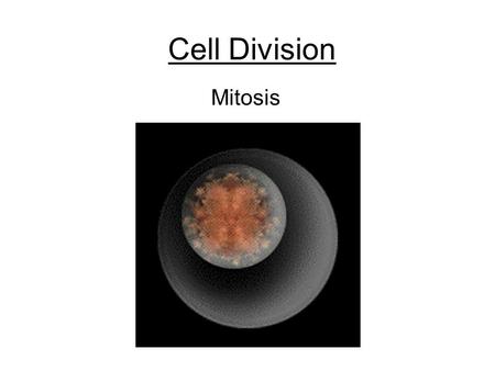 Cell Division Mitosis. Mitosis is just one part of the cell cycle The Mitotic (M) phase is the shortest part of the cell cycle (Cytokinesis may be included.