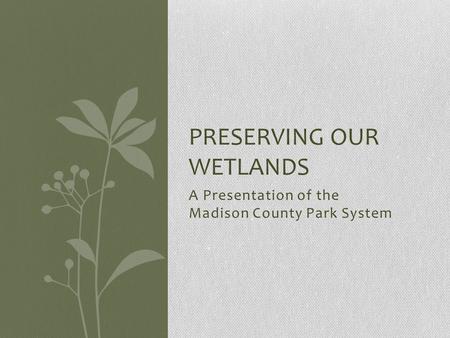 A Presentation of the Madison County Park System PRESERVING OUR WETLANDS.