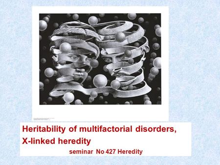 Heritability of multifactorial disorders, X-linked heredity seminar No 427 Heredity.