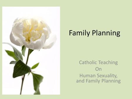 Catholic Teaching On Human Sexuality, and Family Planning