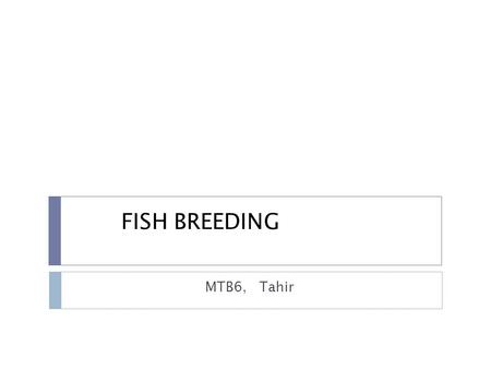 FISH BREEDING MTB6, Tahir.