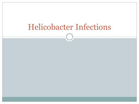 Helicobacter Infections. Helicobacter Pylori Bacterium.