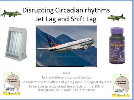 Disrupting Circadian rhythms Jet Lag and Shift Lag Aims To know the symptoms of Jet Lag To understand the effects of jet lag upon biological rhythms To.