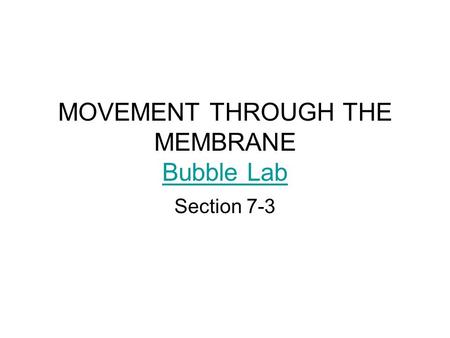 MOVEMENT THROUGH THE MEMBRANE Bubble Lab