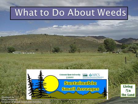 What to Do About Weeds Once you’ve learned how grass grows and how to manage grazing, you should notice some improvement in weed infestations. However,