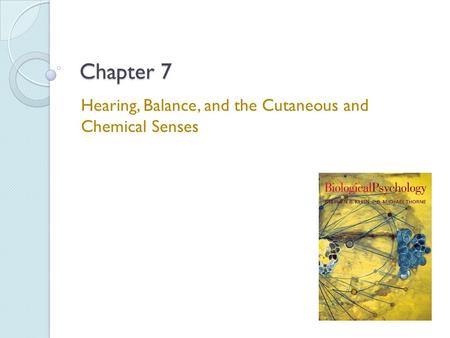 Chapter 7 Hearing, Balance, and the Cutaneous and Chemical Senses.
