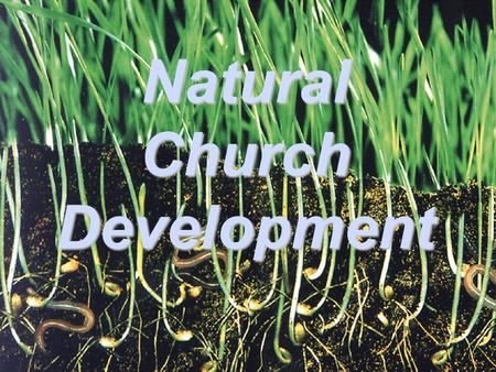 NaturalChurchDevelopment Welcome to NCD Form groups of 3-4 Welcome Magkikilala muna. What do you know about NCD? What are you hoping to learn about NCD?